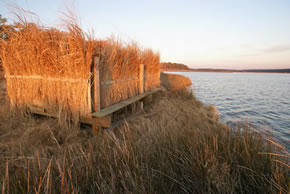 sika deer hunting property