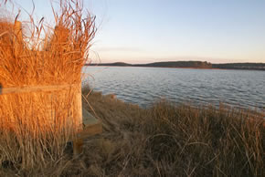 sika deer hunting property
