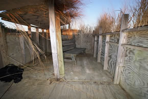 sika deer hunting property