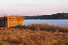 sika deer hunting property