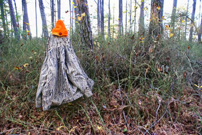 sika deer hunting property