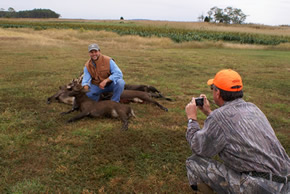 sika deer hunting property