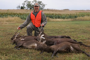 sika deer hunting property