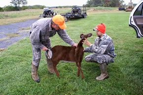 sika deer hunting property