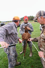 sika deer hunting property