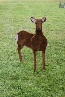 sika deer hunting property