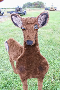 sika deer hunting property