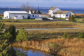 sika deer hunting property