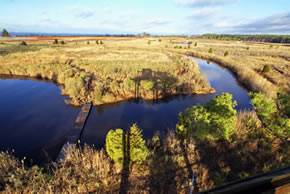 sika deer hunting property