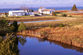 sika deer hunting property