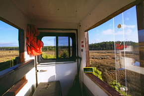 sika deer hunting property
