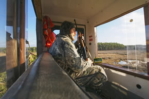 sika deer hunting property