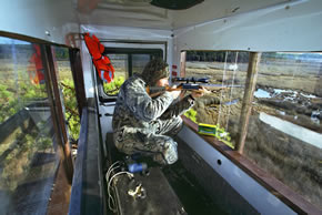 sika deer hunting property