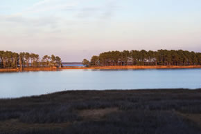 sika deer hunting property