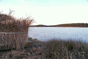 sika deer hunting property