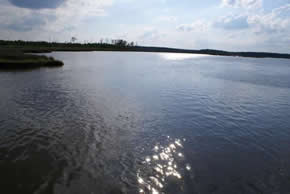 boat ramp near marsh property
