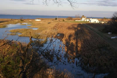 view from deer stand