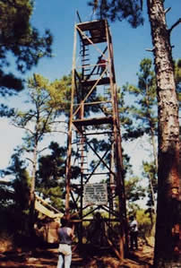 sika deer hunting property