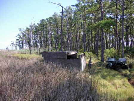 duck hunting