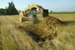 goose pit