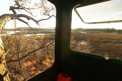 sika deer hunting property