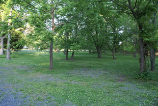 Smithville house