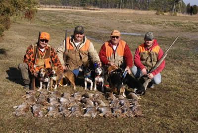 rabbit hunting