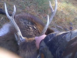 rifle season