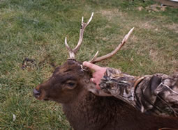 rifle season