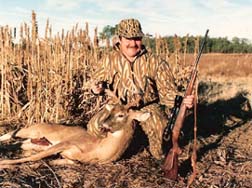 sika stag - white tail deer