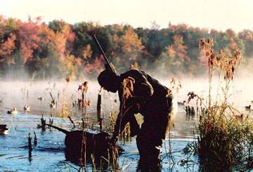 duck hunting