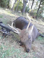 Sika 5-point