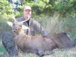 Sika 5-point