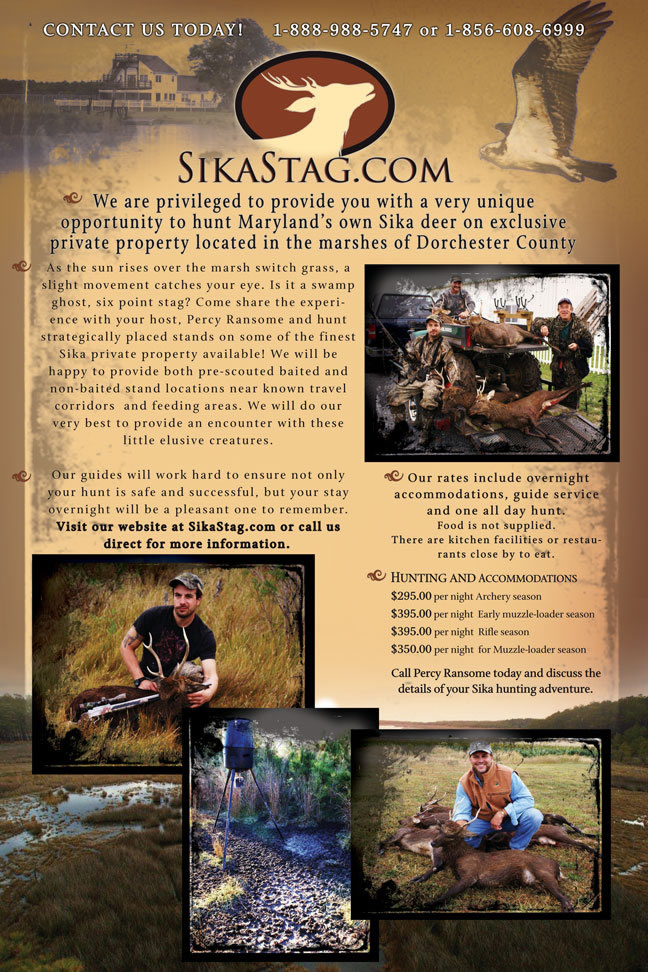 sika deer brochure